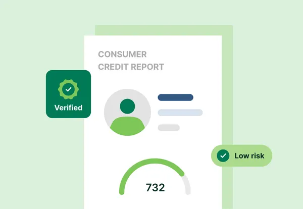 Consumer credit report illustration