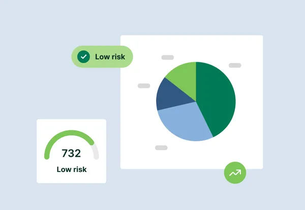 Low risk report illustration