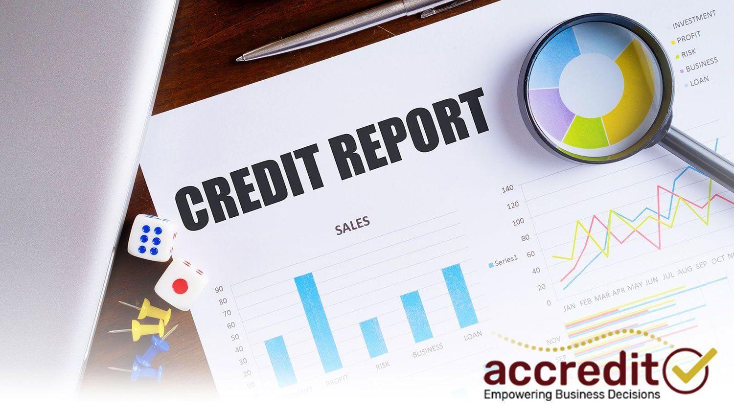 Why the Experian Business Credit Report Risk Dashboard Is So Valuable ...